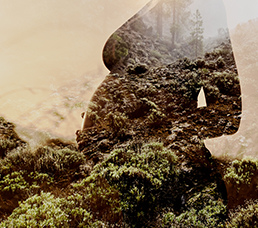 Prueba de fertilidad - listados